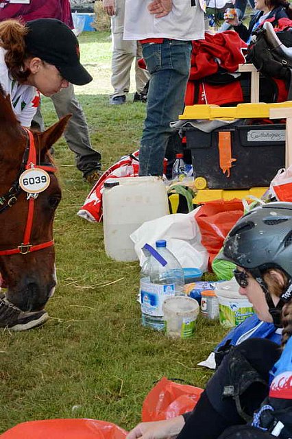 WEG2-Endurance-8-28-14-6538-DDeRosaPhoto