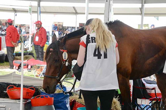 WEG2-Endurance-8-28-14-6556-DDeRosaPhoto