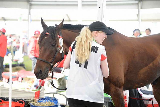 WEG2-Endurance-8-28-14-6562-DDeRosaPhoto