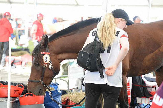WEG2-Endurance-8-28-14-6563-DDeRosaPhoto