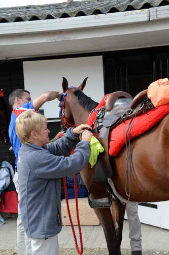 WEG-Endurance-8-24-14-4455-KelseyRussell-MyWildIrishGold-DDeRosaPhoto