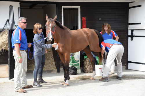 WEG-Endurance-8-24-14-4415-MegSleeper-SyroccoReveille-DDeRosaPhoto