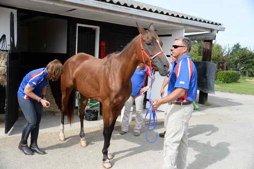 WEG-Endurance-8-24-14-4444-MegSleeper-SyroccoReveille-DDeRosaPhoto