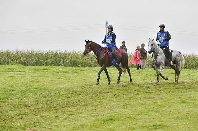 WEG-EnduranceRace-8-28-14-0001290-DDeRosaPhoto