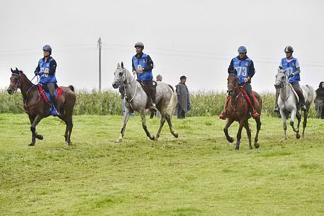 WEG-EnduranceRace-8-28-14-0001291-DDeRosaPhoto