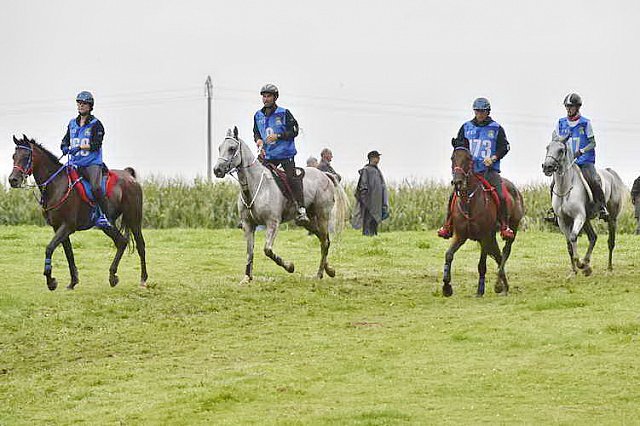 WEG-EnduranceRace-8-28-14-0001292-DDeRosaPhoto