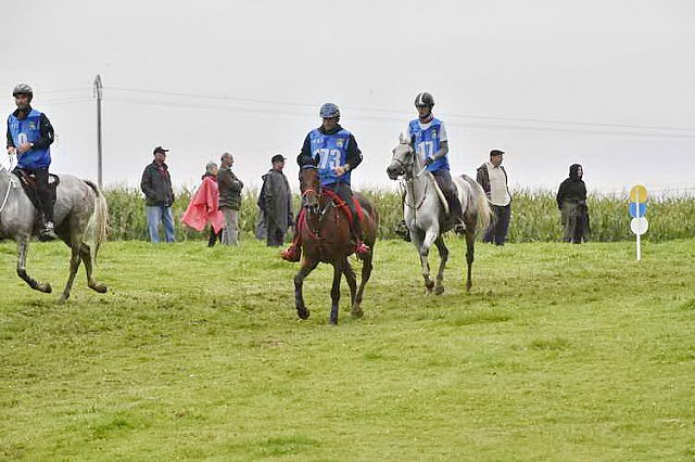 WEG-EnduranceRace-8-28-14-0001293-DDeRosaPhoto