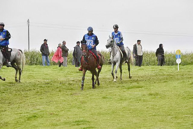 WEG-EnduranceRace-8-28-14-0001294-DDeRosaPhoto