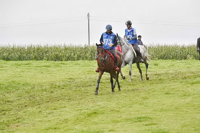 WEG-EnduranceRace-8-28-14-0001298-DDeRosaPhoto