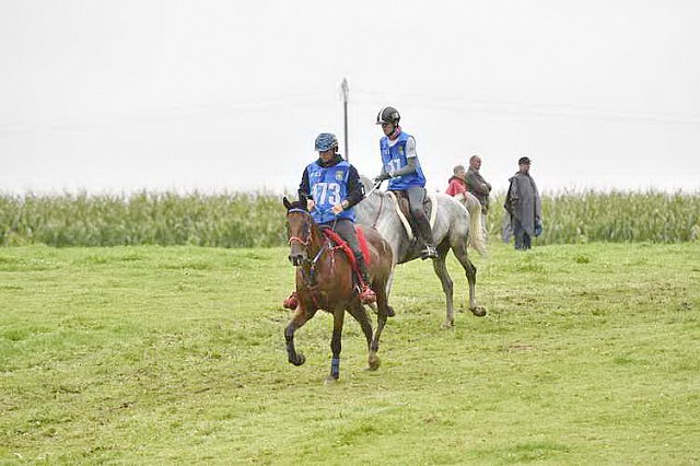 WEG-EnduranceRace-8-28-14-0001299-DDeRosaPhoto