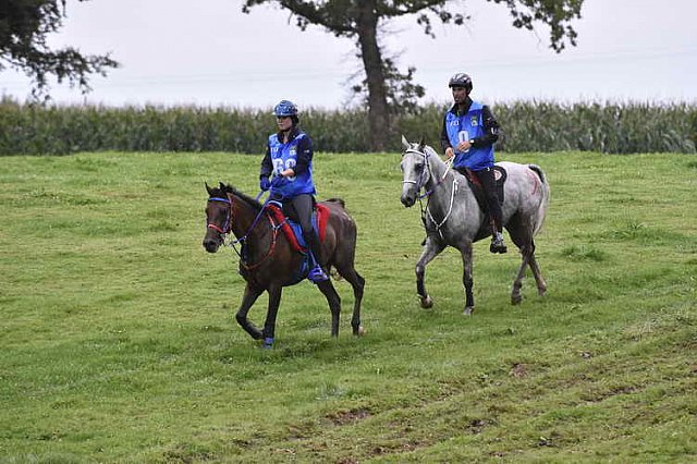 WEG-EnduranceRace-8-28-14-0001302-DDeRosaPhoto