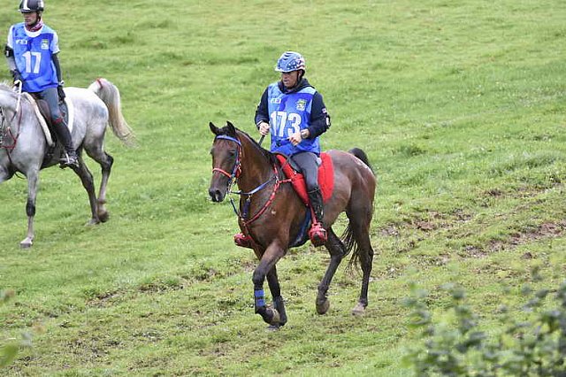 WEG-EnduranceRace-8-28-14-0001315-DDeRosaPhoto