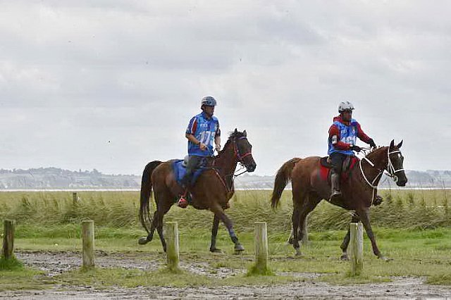 WEG-EnduranceRace-8-28-14-0002197-DDeRosaPhoto