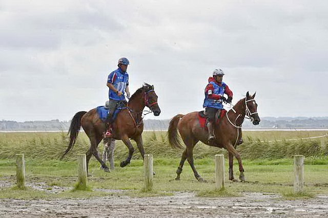 WEG-EnduranceRace-8-28-14-0002198-DDeRosaPhoto