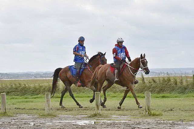 WEG-EnduranceRace-8-28-14-0002202-DDeRosaPhoto