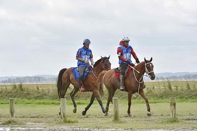 WEG-EnduranceRace-8-28-14-0002205-DDeRosaPhoto