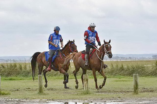 WEG-EnduranceRace-8-28-14-0002206-DDeRosaPhoto