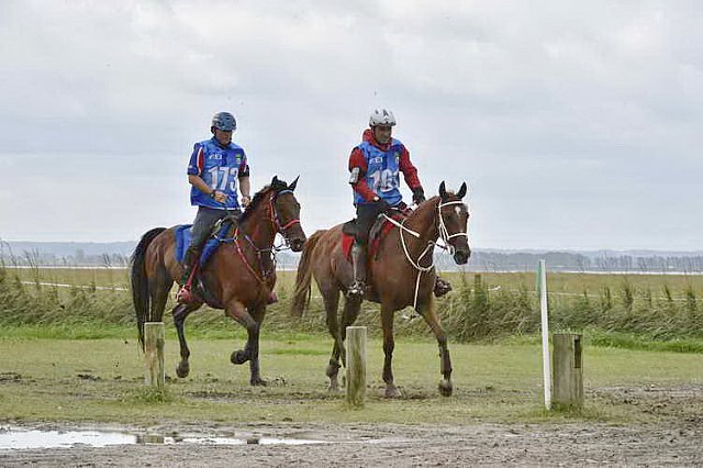 WEG-EnduranceRace-8-28-14-0002209-DDeRosaPhoto