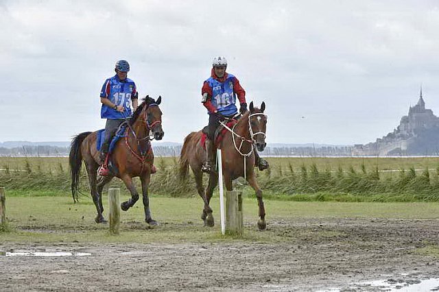 WEG-EnduranceRace-8-28-14-0002211-DDeRosaPhoto