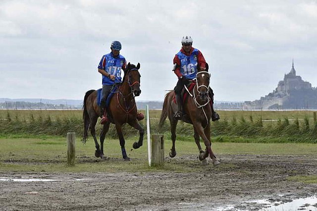 WEG-EnduranceRace-8-28-14-0002213-DDeRosaPhoto