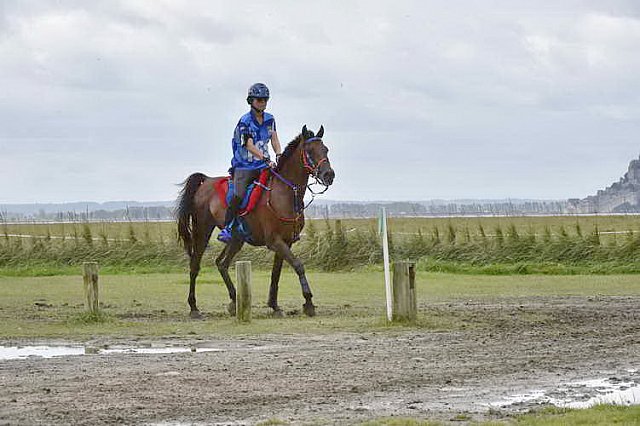 WEG-EnduranceRace-8-28-14-0002290-DDeRosaPhoto