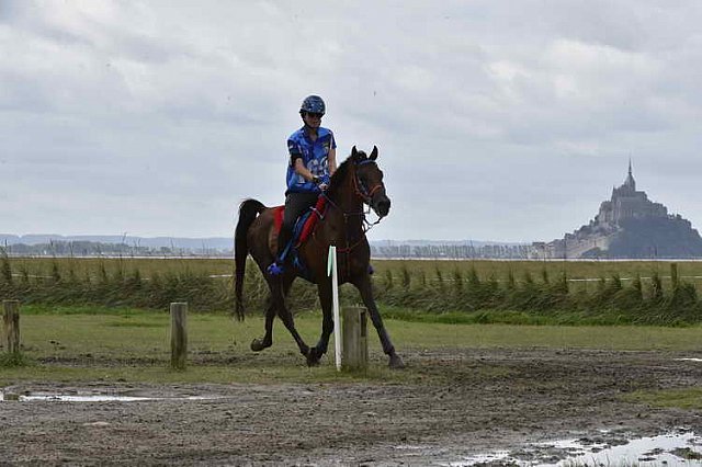 WEG-EnduranceRace-8-28-14-0002292-DDeRosaPhoto