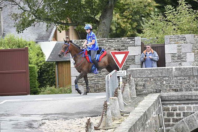 WEG-EnduranceRace-8-28-14-0002330-DDeRosaPhoto