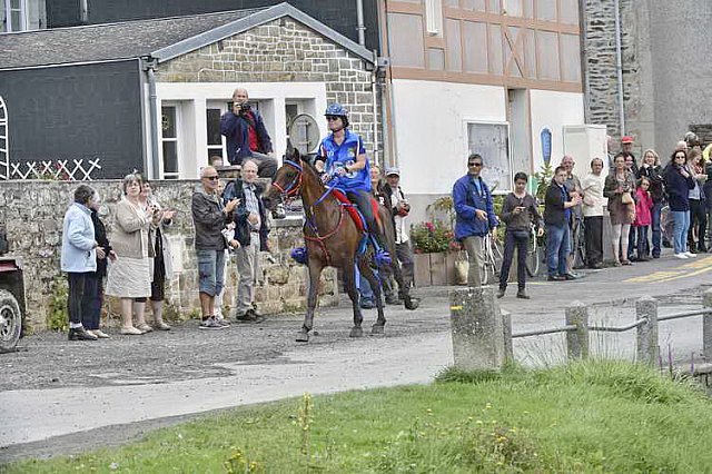 WEG-EnduranceRace-8-28-14-0002344-DDeRosaPhoto