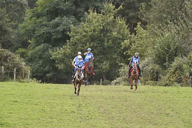 WEG-EnduranceRace-8-28-14-0005322-DDeRosaPhoto