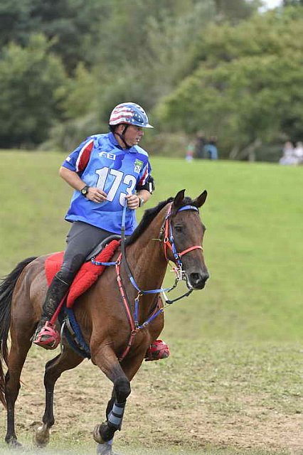 WEG-EnduranceRace-8-28-14-0005357-DDeRosaPhoto