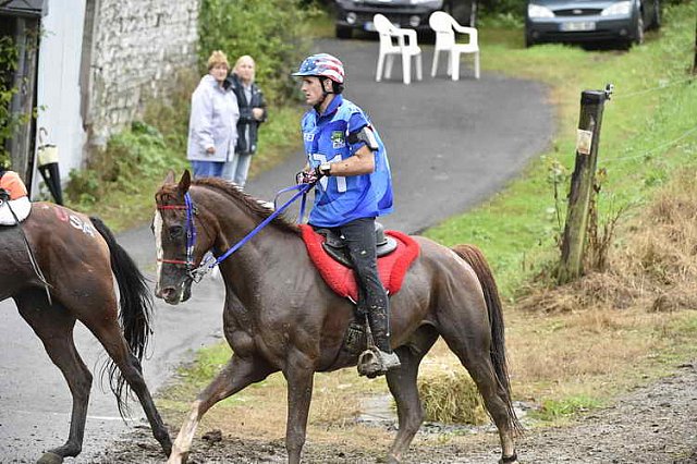 WEG-EnduranceRace-8-28-14-0001042-DDeRosaPhoto