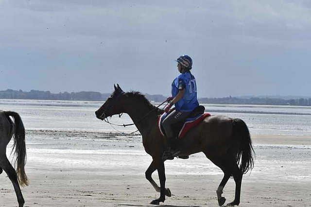 WEG-EnduranceRace-8-28-14-0003445-DDeRosaPhoto