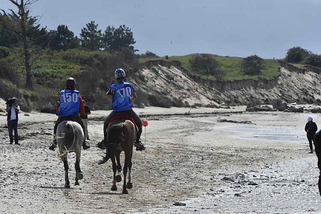 WEG-EnduranceRace-8-28-14-0003458-DDeRosaPhoto