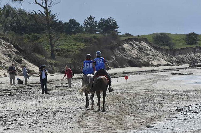 WEG-EnduranceRace-8-28-14-0003470-DDeRosaPhoto