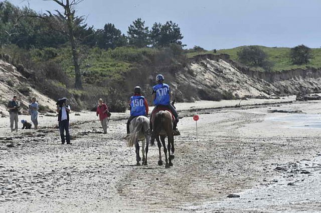 WEG-EnduranceRace-8-28-14-0003473-DDeRosaPhoto