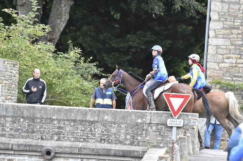 WEG-EnduranceRace-8-28-14-0001959-DDeRosaPhoto