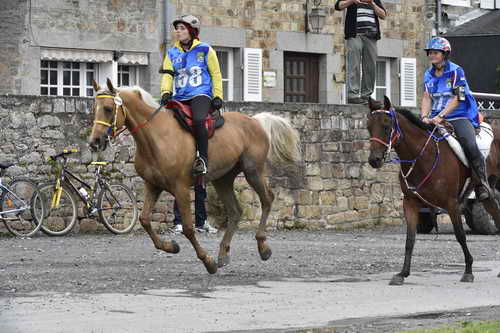 WEG-EnduranceRace-8-28-14-0001988-DDeRosaPhoto