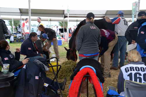 WEG2-Endurance-8-28-14-6707-DDeRosaPhoto