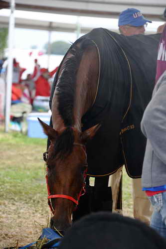 WEG2-Endurance-8-28-14-6720-DDeRosaPhoto