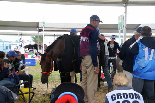 WEG2-Endurance-8-28-14-6729-DDeRosaPhoto