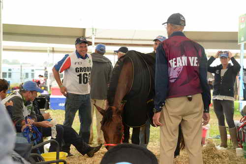 WEG2-Endurance-8-28-14-6752-DDeRosaPhoto