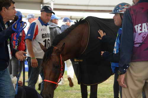 WEG2-Endurance-8-28-14-6754-DDeRosaPhoto