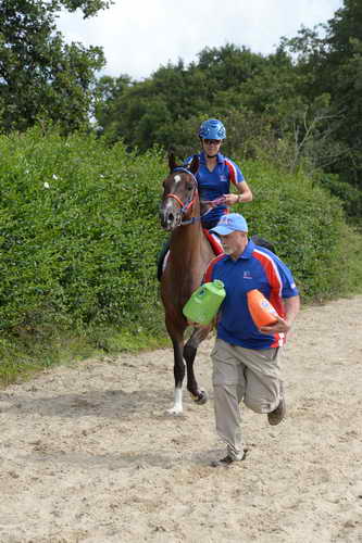 WEG-Endurance-8-24-14-4610-DDeRosaPhoto