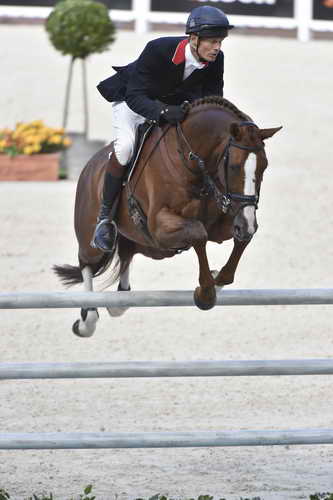 WEG-EventingSJ-8-31-14-0002899-WilliamFox-Pitt-ChilliMorning-GBR-DDeRosaPhoto