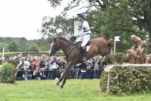 WEG1-Eventing-8-30-14-0008492-WilliamFox-Pitt-ChilliMorning-GBR-DDeRosaPhoto