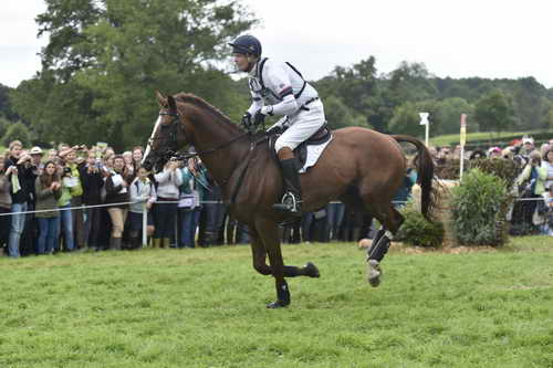 WEG1-Eventing-8-30-14-0008498-WilliamFox-Pitt-ChilliMorning-GBR-DDeRosaPhoto