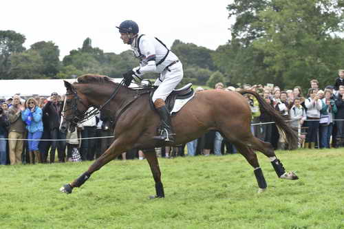WEG1-Eventing-8-30-14-0008500-WilliamFox-Pitt-ChilliMorning-GBR-DDeRosaPhoto
