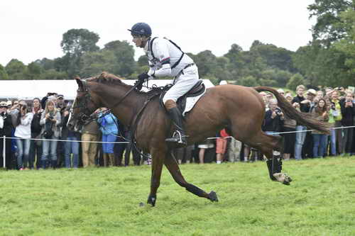 WEG1-Eventing-8-30-14-0008501-WilliamFox-Pitt-ChilliMorning-GBR-DDeRosaPhoto