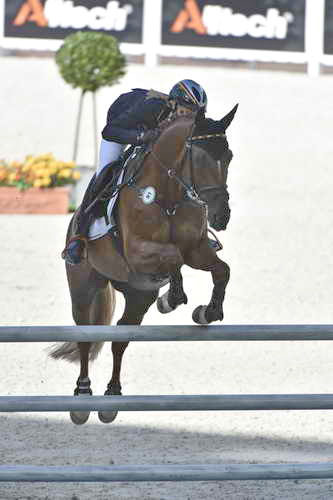 WEG-EventingSJ-8-31-14-0002866-SandraAuffarth-OpgunLouvo-GER-DDeRosaPhoto