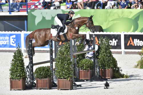 WEG-EventingSJ-8-31-14-0002868-SandraAuffarth-OpgunLouvo-GER-DDeRosaPhoto